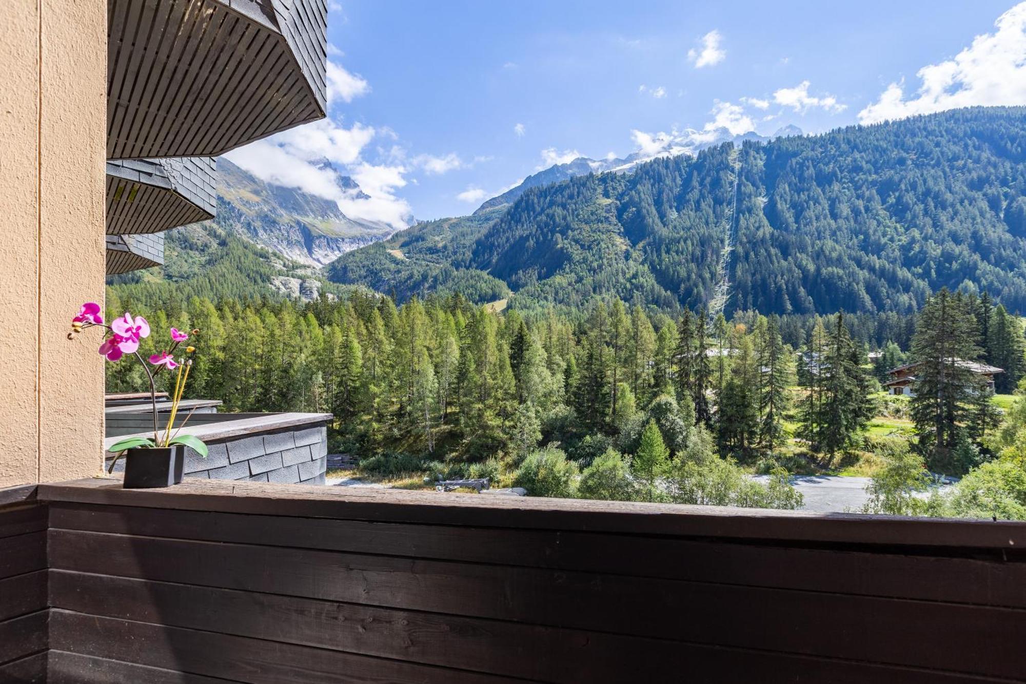 Residence Grand Roc - Campanules 314 Happy Rentals Chamonix Exterior foto
